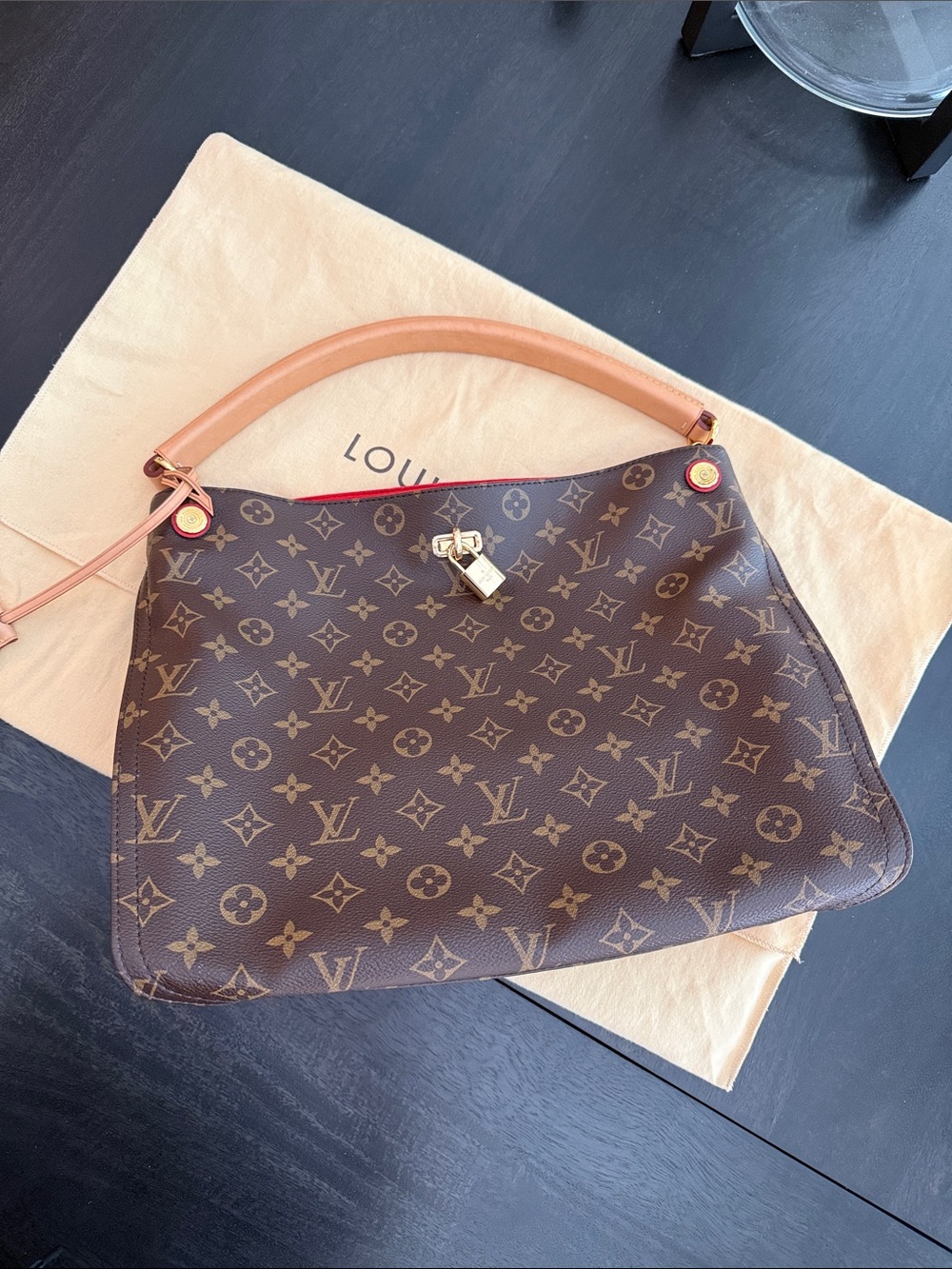 Louis Vuitton Monogram Gaia bag